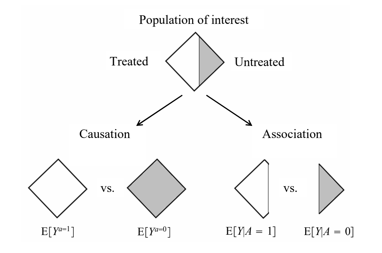 causation